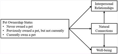 Peer bonds and nature’s embrace: exploring the influence of pet caregiving on social well-being and nature connection among Taiwanese children